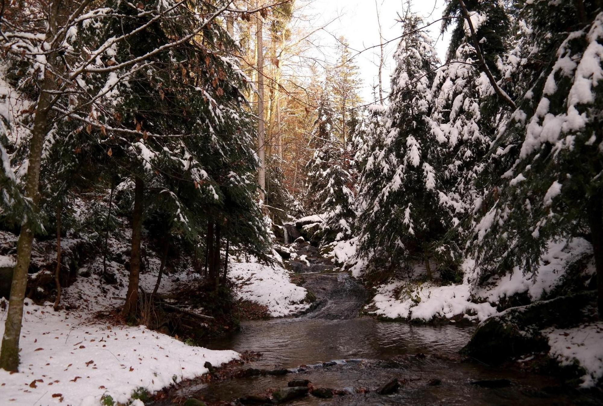 Ferienwohnungen Raczkowski Birkfeld Екстер'єр фото
